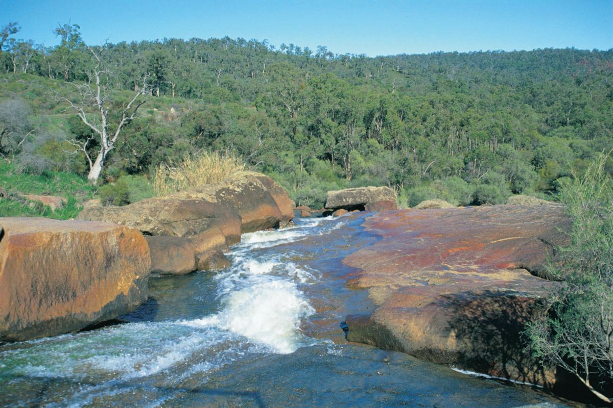 Image result for John Forrest National Park